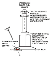 Tedlar<sup>®</sup> Gas Sampling Bags, Locking Combo Valve<sup>®</sup> with Septum-2